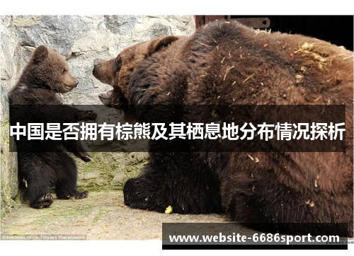 中国是否拥有棕熊及其栖息地分布情况探析